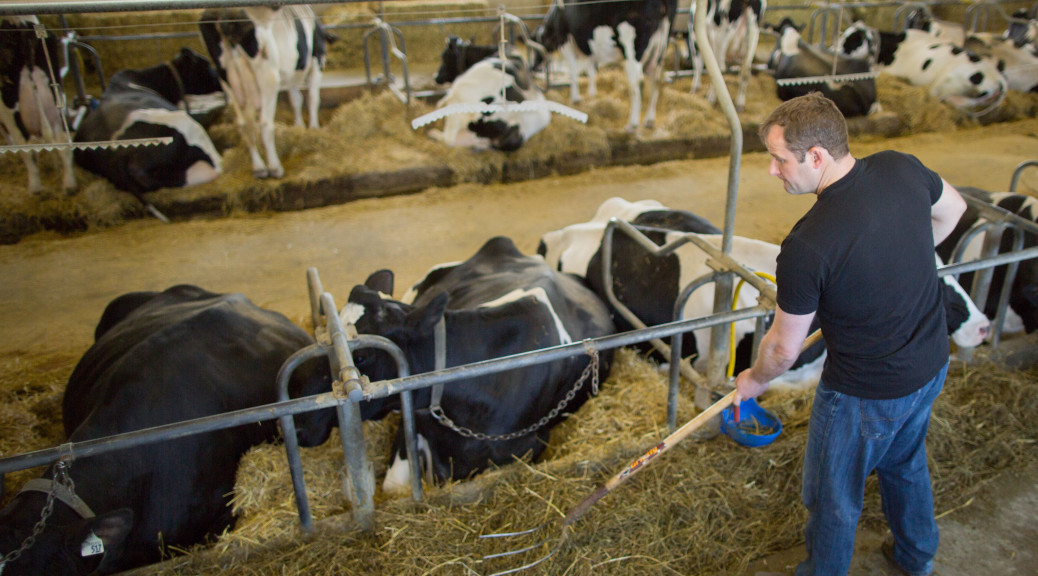 Lyndon Lichty Cleaning out Cow Barn