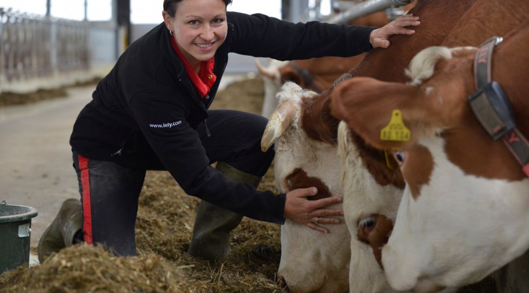 How will the USMCA affect me?